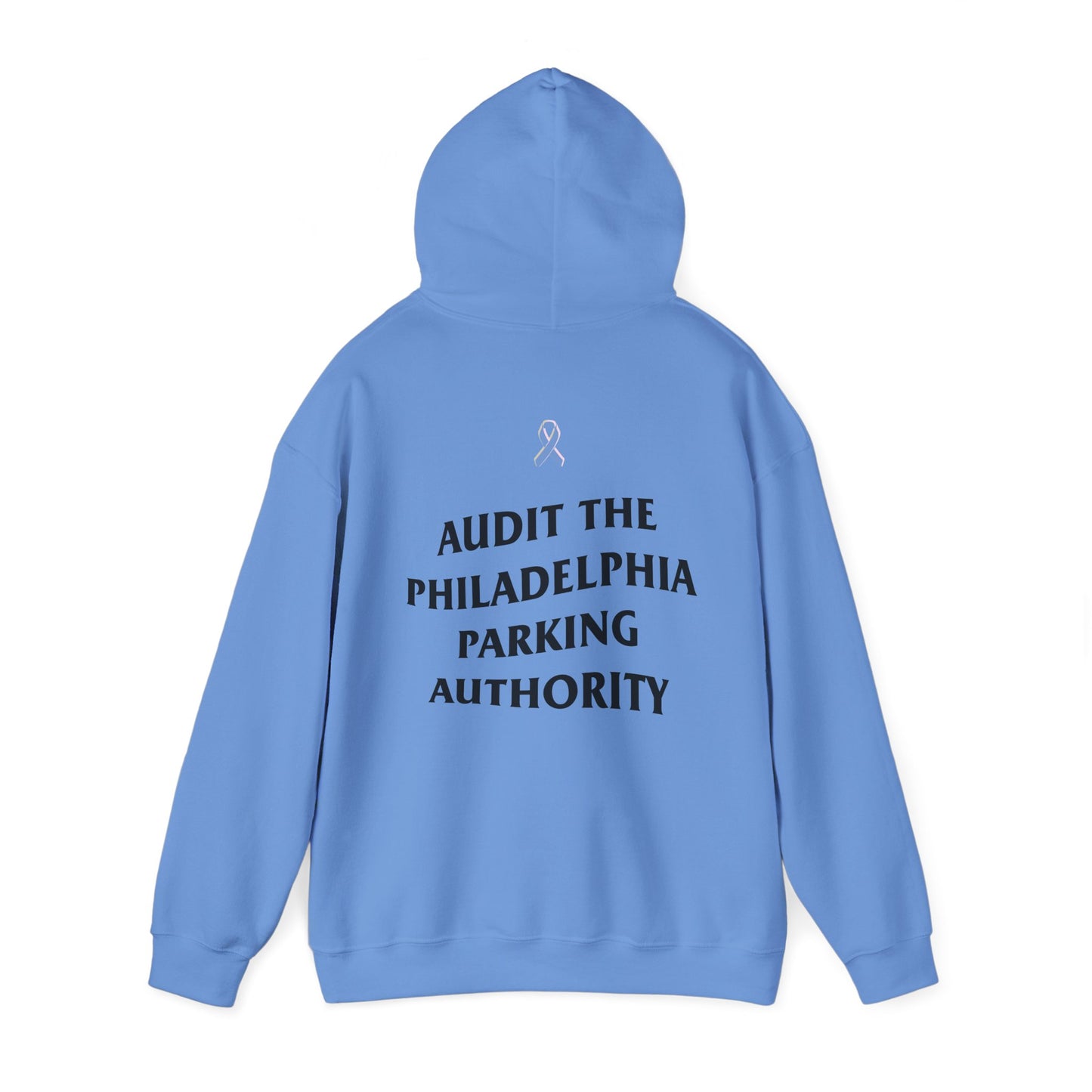 215 21Fly® Audit