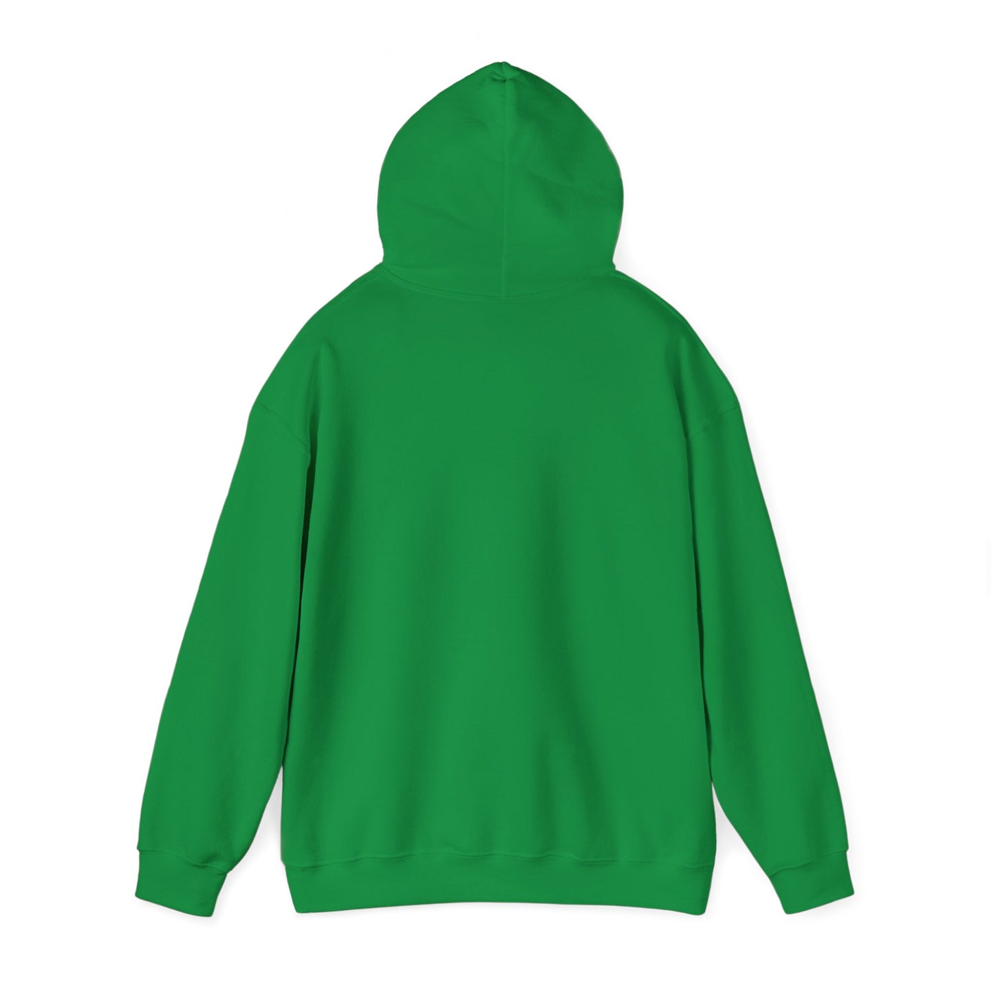 215 21Fly® Birds Hoodie