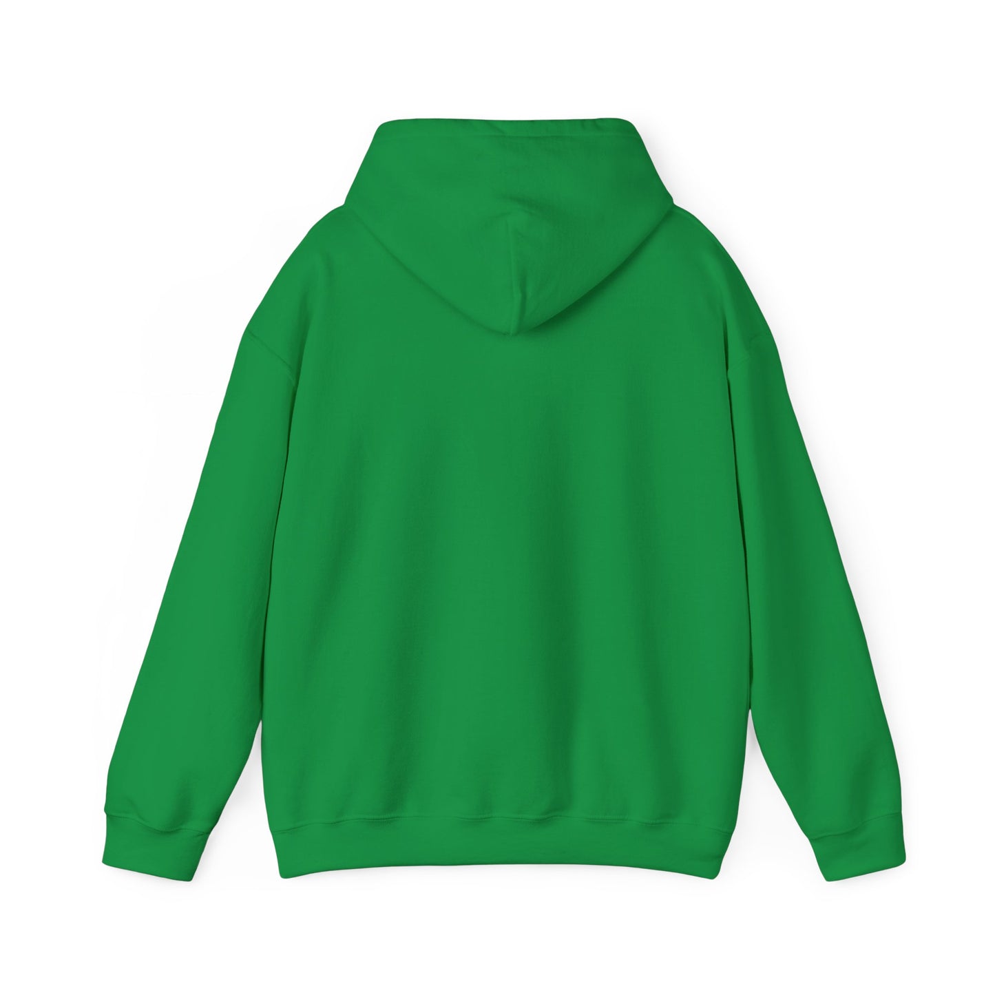215 21Fly® Birds Hoodie