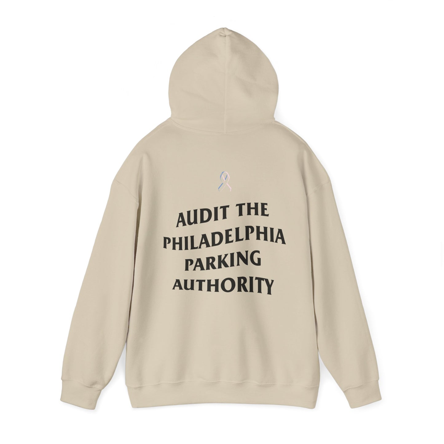 215 21Fly® Audit