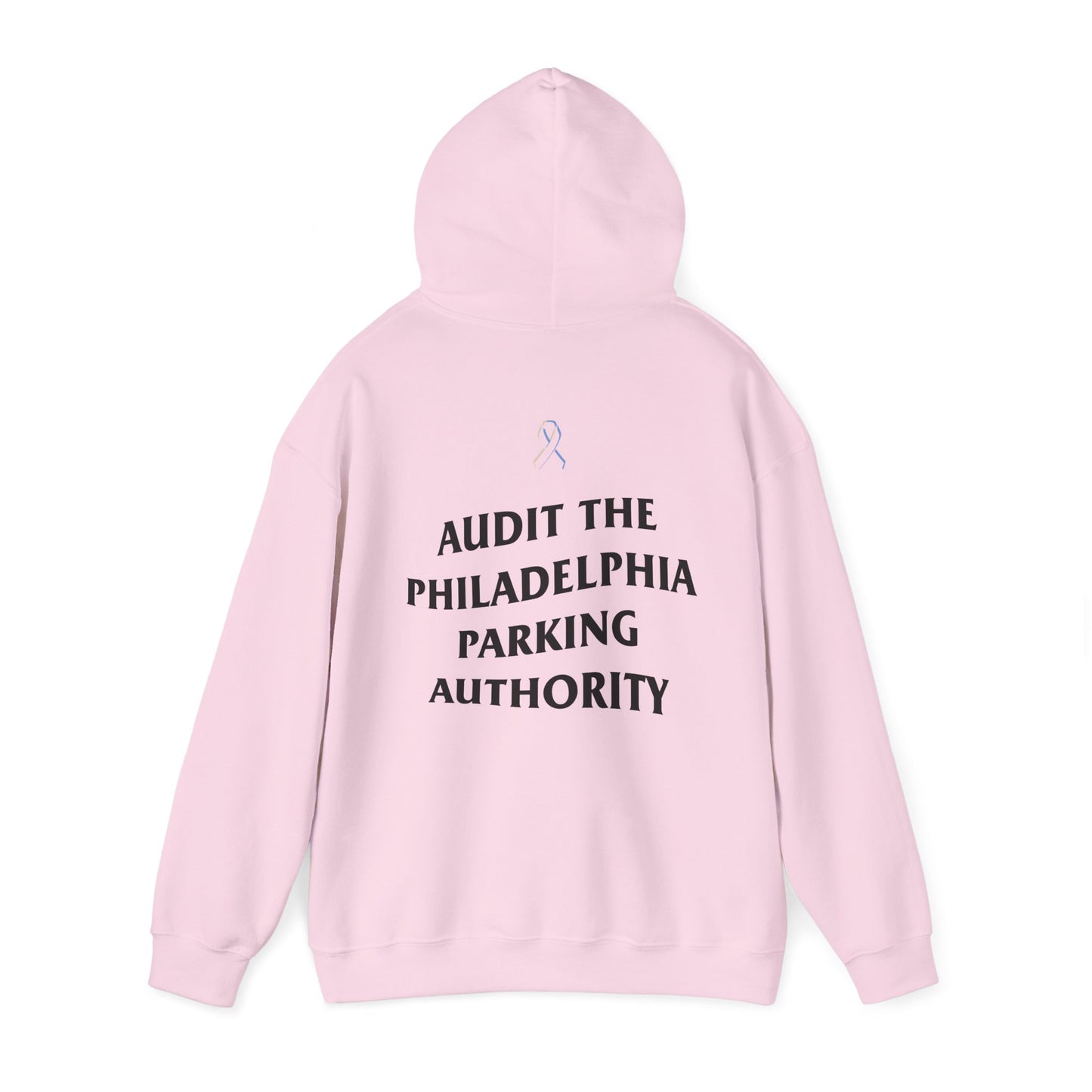 215 21Fly® Audit