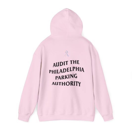 215 21Fly® Audit